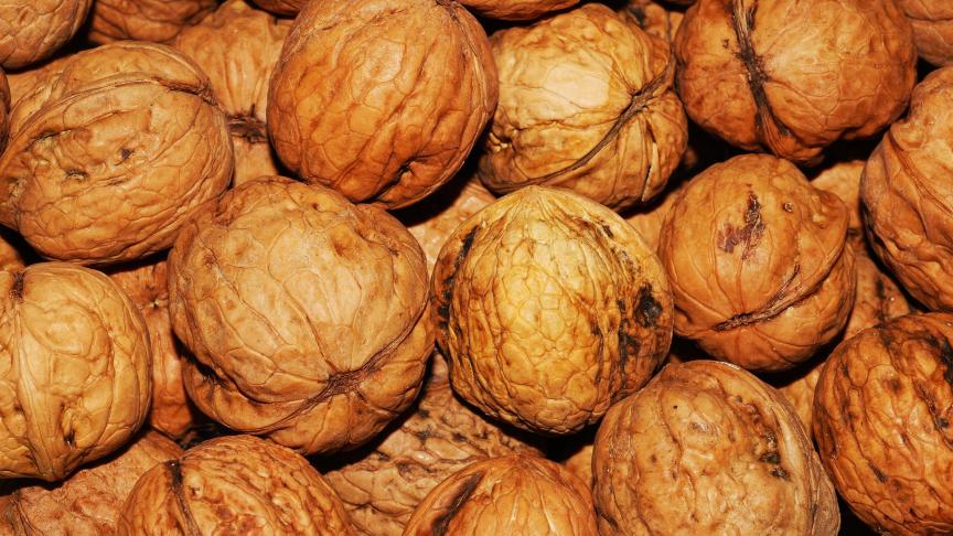 walnuts-101425