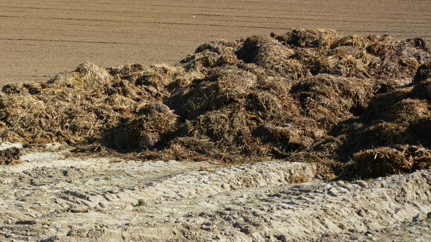 Le texte, qui amende la directive Nitrates, va maintenant être soumis à l’examen  du parlement européen et du conseil qui disposent de trois mois pour se prononcer.