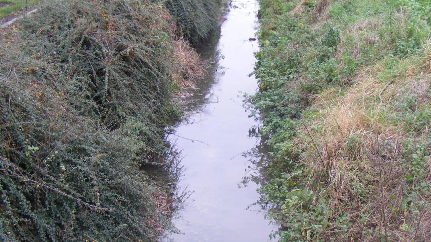 Les fossés de drainage de nos propres parcelles sont des sources d