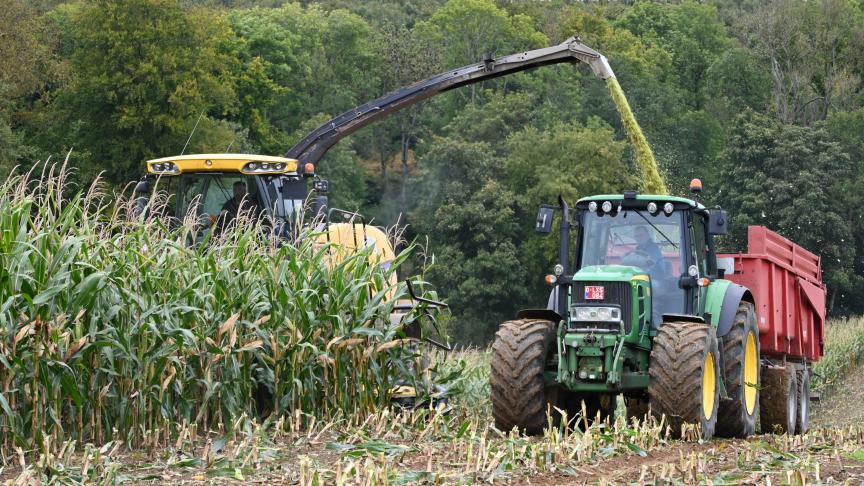 Pour les variétés précoces en Ardenne, il est encore nécessaire d’attendre puisque le seuil de 30% M.S. n’est atteint que dans les meilleures situations.