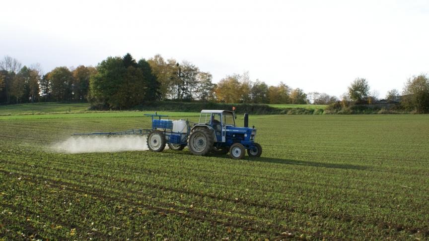 La majorité des mauvaises herbes va germer et croître durant l’automne. Jeunes et peu développées, elles sont facilement et économiquement éliminées à cette période.