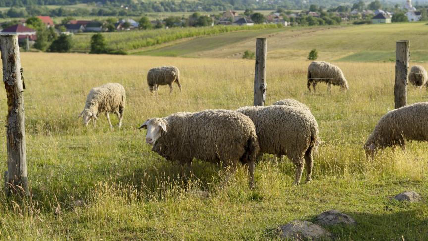 Un réseau d’exploitants engagés dans la réduction de l’usage des pesticides sera mis en place afin de favoriser le partage d’expériences