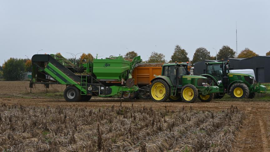 Cette année, la production belge commercialisable (si tout est récolté) serait supérieure au volume récolté l’an dernier, et à la moyenne descinq dernières années.