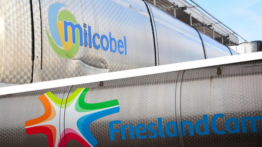 Les membres de Milcobel et FrieslandCampina  prendront leur décision finale le 16 décembre.