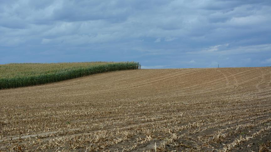 Dans le cadre de la BCAE 5, chaque parcelle se verra définir une classe de sensibilité, déterminant si des mesures de lutte contre l’érosion  doivent être prises ou non.