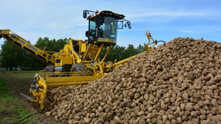 En chutant de 5,3 % en un mois, le prix du sucre atteint son niveau le plus bas depuis décembre 2020.