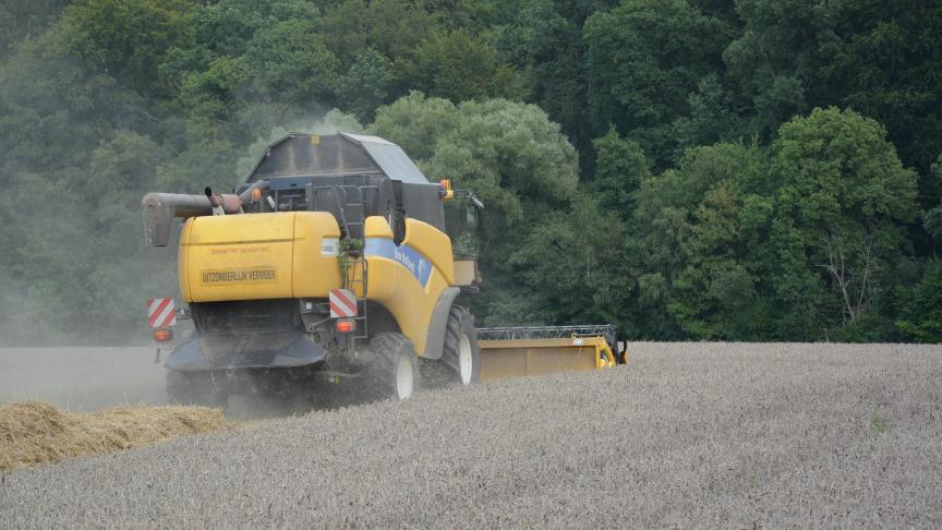 La production de froment a grimpé de 57% en un an!