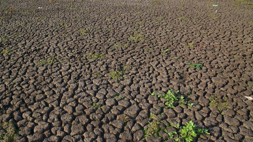 Sur le plan nutritionnel, les volumes perdus correspondent globalement à 320 kilocalories par personne et par jour, l’équivalent de 13-16% des besoins quotidiens.