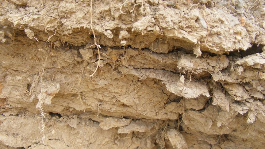 L’examen du profil du sol consiste à creuser un trou d’environ un mètre de profondeur pour visualiser sa compaction, la présence de racines et les passages de vers de terre. Il permet aussi d’indiquer la présence d’une éventuelle semelle de labour ou de pseudo-labour. La couleur et même l’odeur du sol renseignent sur son niveau de drainage naturel ou artificiel (oxydo-réduction du fer).