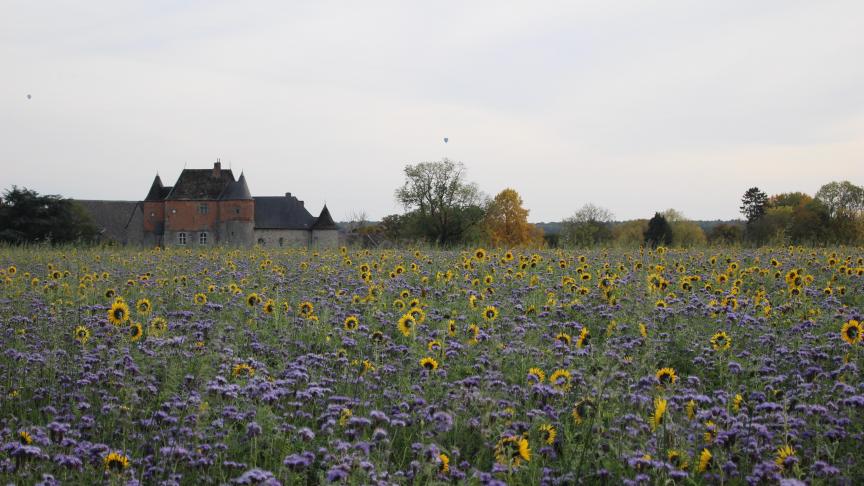 La loi de préciser que l’autorisation de la sous-location, à peine de nullité, donc à peine d’inexistence, doit être donnée par écrit et préalablement à la prise de cours de la sous-location.