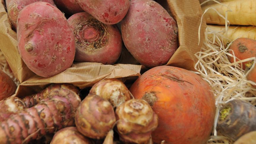 AdobeStock_822276294