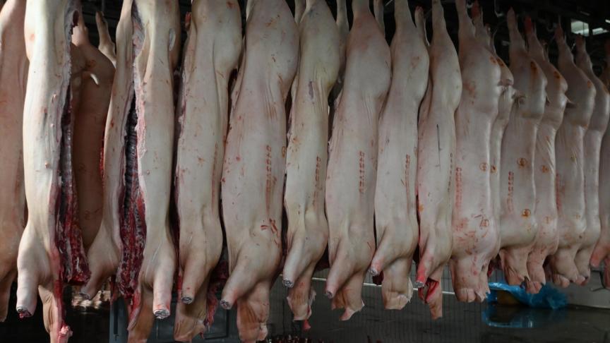 L’exportation des produits du «cinquième quartier» (oreilles, pattes, tripes) est devenue presque impossible.