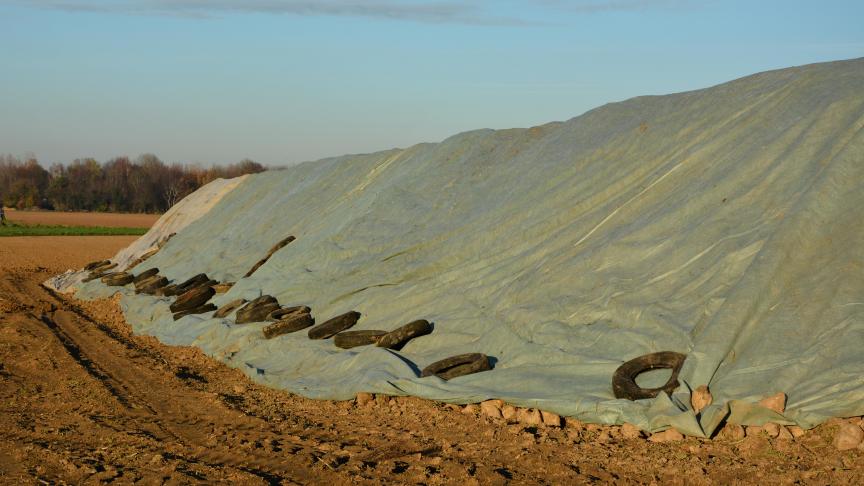 Baisse des températures rime avec bâchage des tas.