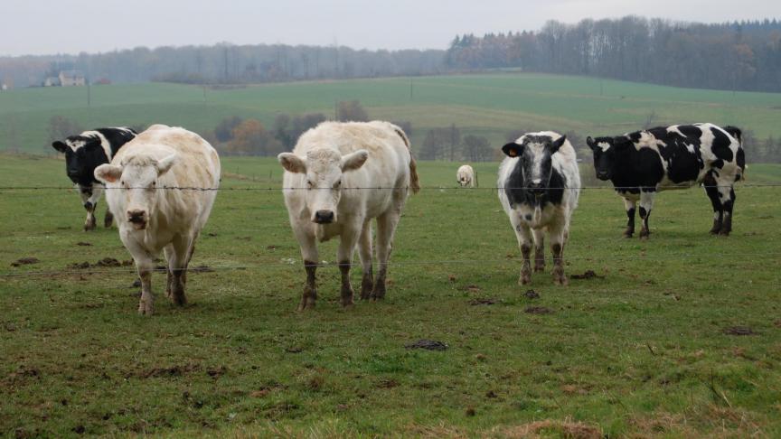 Pour M. Ledent, la rentabilité agricole est désormais liée à des arbitrages politiques sur l’énergie, le climat et l’aménagement du territoire.
