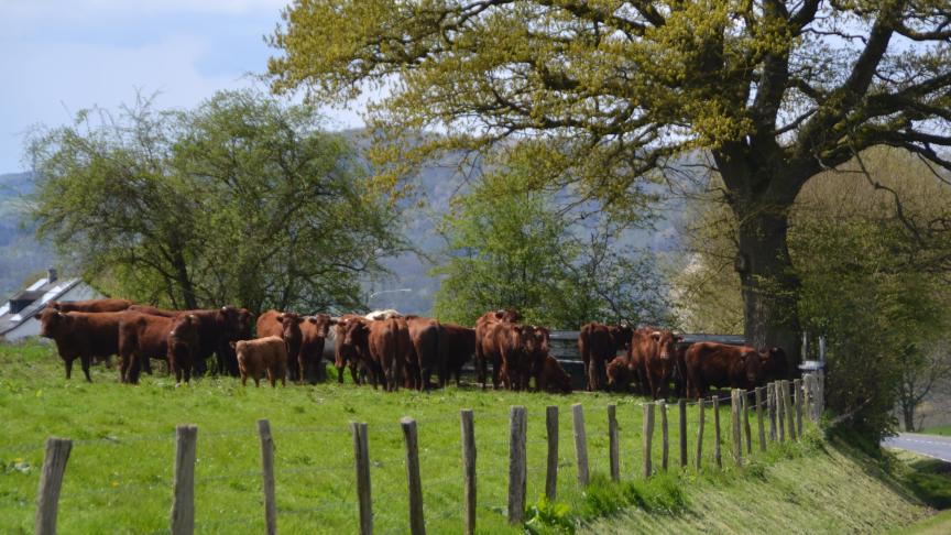 Pour certains États membres, la flexibilité tous azimuts pourrait conduire à une renationalisation de la Pac.