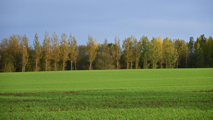 L’important à retenir est que la cession privilégiée conduit à un renouvellement du bail. Les compteurs sont remis à zéro, sans continuité du bail comme en matière de cession simple ou ordinaire.