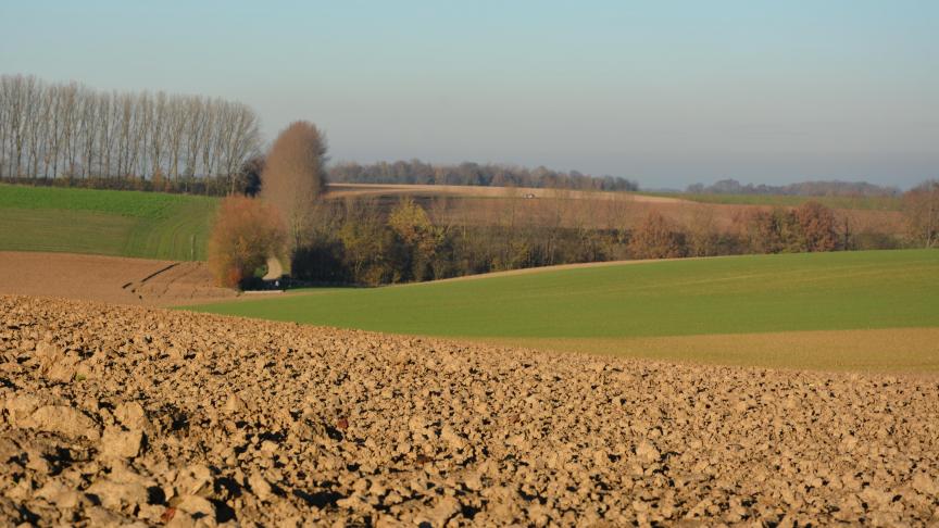 En dix ans, le fermage des terres cultivées a progressé de près de 20 % à l’échelle nationale.