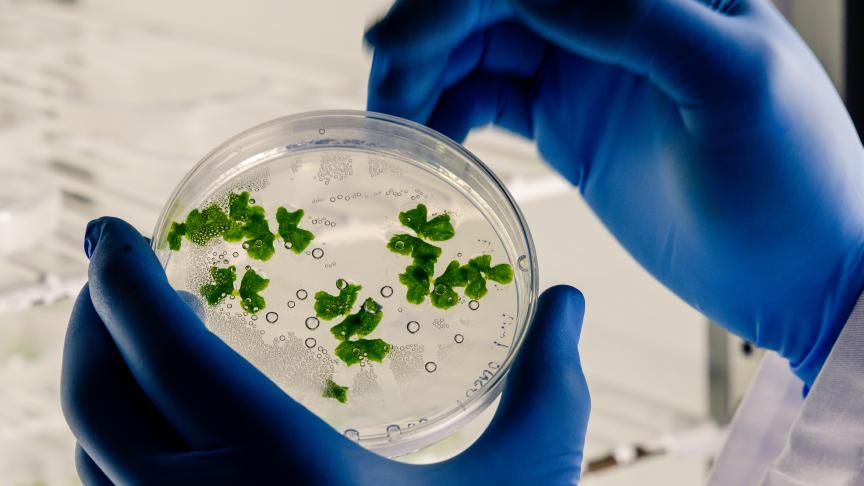 L’accord doit désormais recevoir l’aval des colégislateurs et en particulier du parlement lors d’un vote potentiellement en mars qui promet d’être serré.