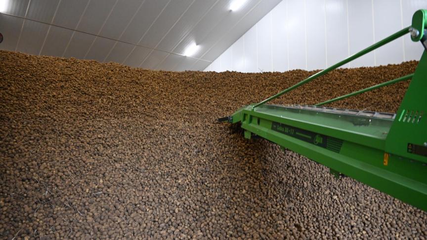 Les quantités livrées sous contrat sont plus élevées que la moyenne des 3 dernières années (+30 %), tandis que les volumes livrés en libre sont moins élevés (-30 %).