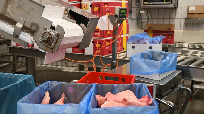 Le marché chinois demeure économiquement important pour le secteur de la viande porcine.