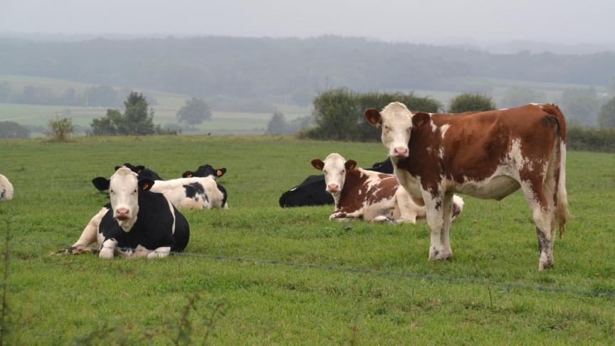 Les exploitations comptant au moins  un agriculteur de moins de 41 ans  concentrent près de 75 % des surfaces acquises par les agriculteurs.