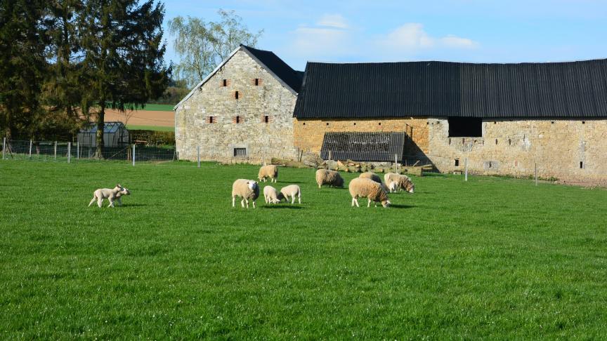 Pour NTF, le véritable déséquilibre  se situe dans l’écart structurel entre propriété et exploitation.