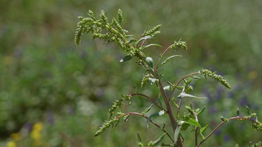 AdobeStock_1661281243