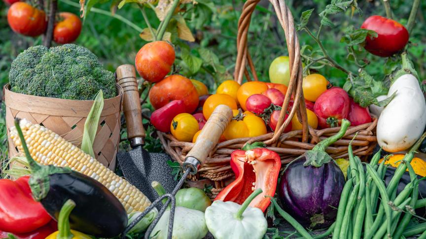 Parmi les destinations hors UE, le programme de promotion 2026 devrait cibler des régions et des pays présentant un fort potentiel de croissance pour les produits  agroalimentaires européens.