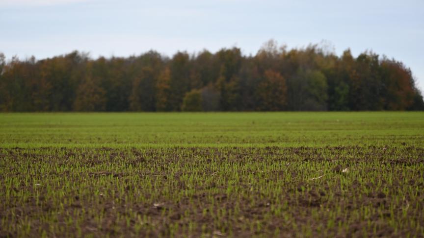 En Europe, la durée de la procédure d’homologation des produits de biostimulation ou de biocontrôle est deux à trois fois plus longue que dans d’autres pays.