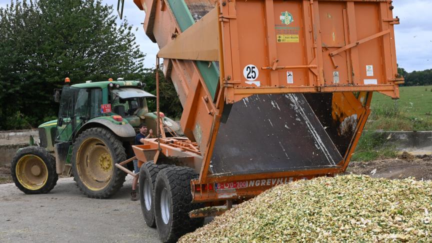 A la récolte, une teneur en matière sèche optimale comprise entre 32 et 36 % doit  être visée en vue, notamment, d’assurer la bonne conservation du silo.