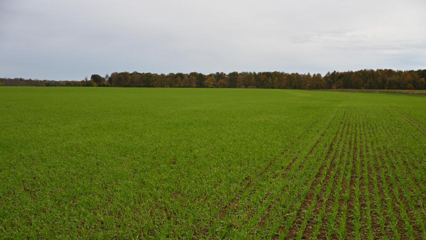 Le bail de carrière se prolongera, depuis sa prise de cours, jusqu’à l’atteinte, par le preneur, de l’âge légal de la pension. Dans le cas de plusieurs preneurs, la durée du bail est calculée sur base de l’âge du copreneur le moins âgé.