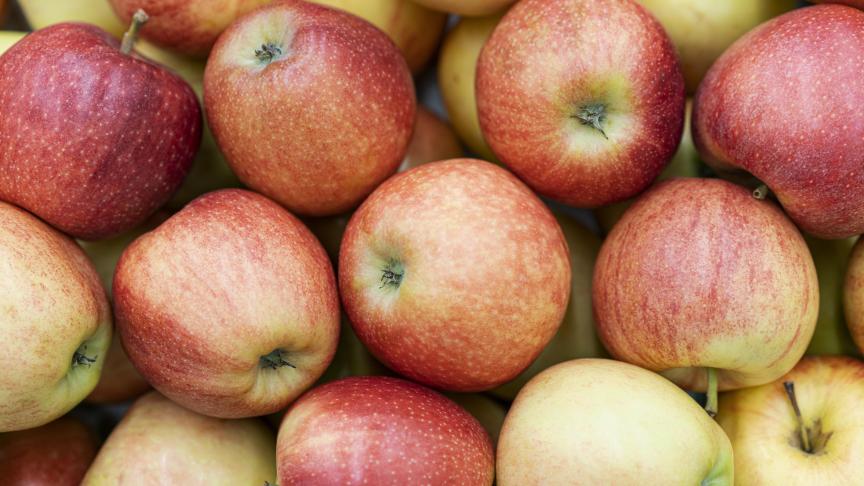 Avec la banane, la pomme figure parmi les fruits les plus consommés en Europe.