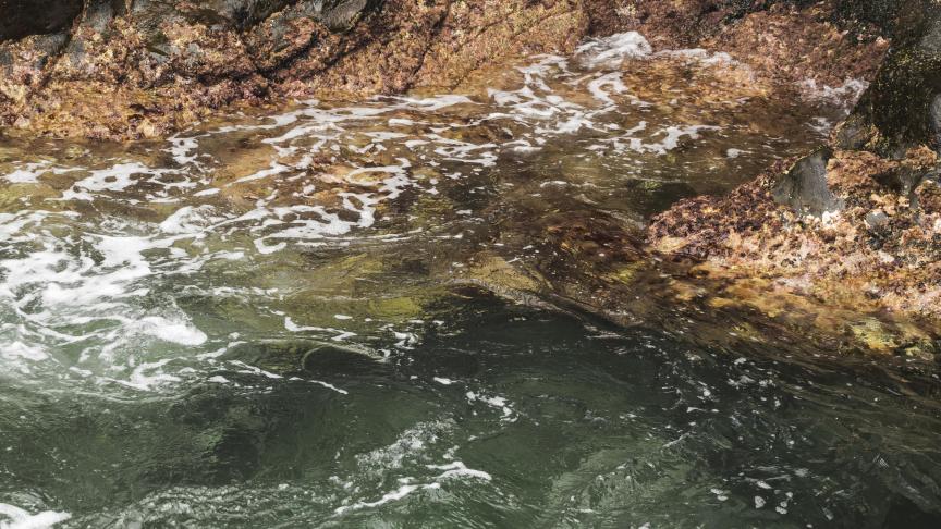 Ces services sont principalement liés à la gestion des déchets et à la gestion des eaux usées.