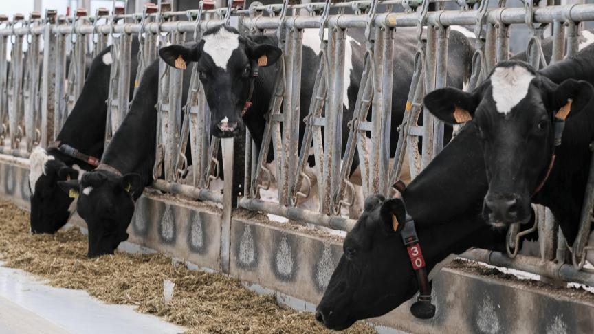 Plusieurs pays ont estimé que les annonces de la commission visant à renforcer le budget de la future Pac, étaient insuffisantes et ne répondaient pas au risque de renationalisation.