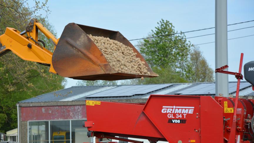 Les prix des plants  s’affichent aussi en recul.