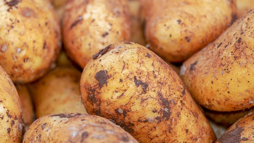 potatoes-g8e85124a8_1920