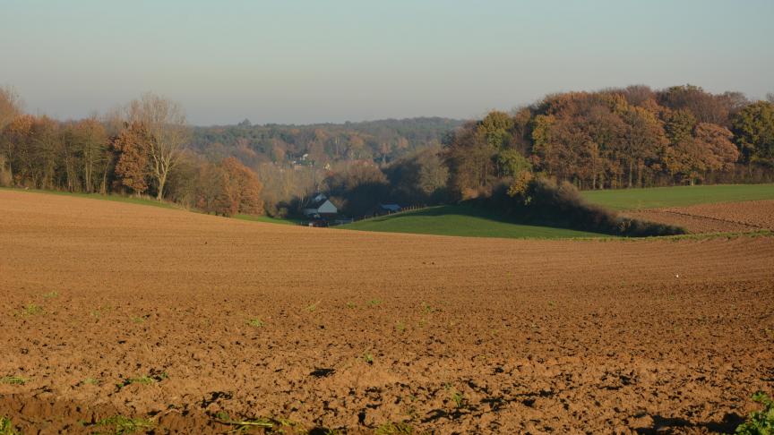 Les prix des terres ont grimpé de plus de 6 % en un an, selon les derniers chiffres livrés par Eurostat.