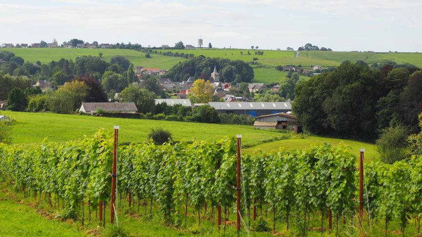 La stratégie vise à doter la Wallonie d’un véritable réseau territorial d’animation et de structuration.