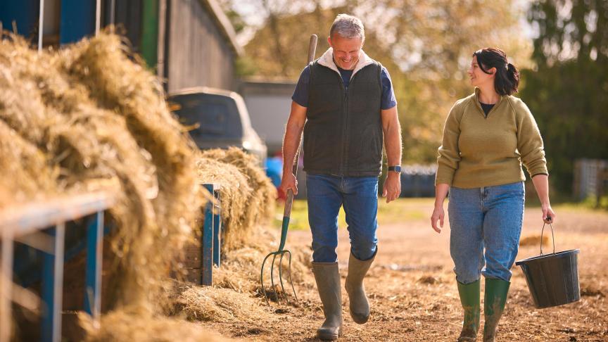 AdobeStock_832037417