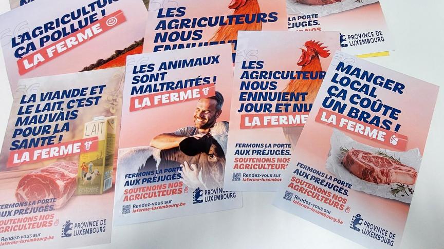 Dans un monde saturé de prises de position rapides et de jugements tranchés, la povince fait le pari qu’une formule brève peut conduire à une réflexion plus longue.