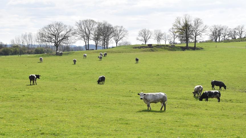 La terre introduit une autre temporalité, une autre mesure de l’utilité, une autre manière de renouer avec l’activité.