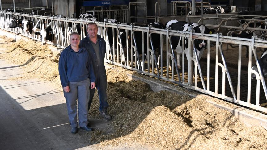 Au départ, les vaches étaient réparties en deux groupes : un groupe de génisses, afin qu’elles puissent s’habituer calmement aux robots, et un groupe de vaches déjà familières du système.