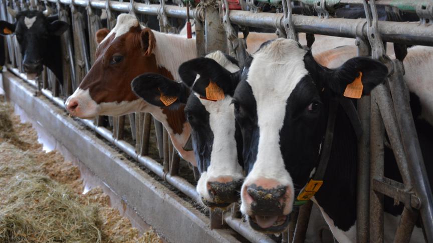 La révision de la QFL se traduit,  notamment, par l’harmonisation  de certains points avec le cahier  des charges Codiplan.