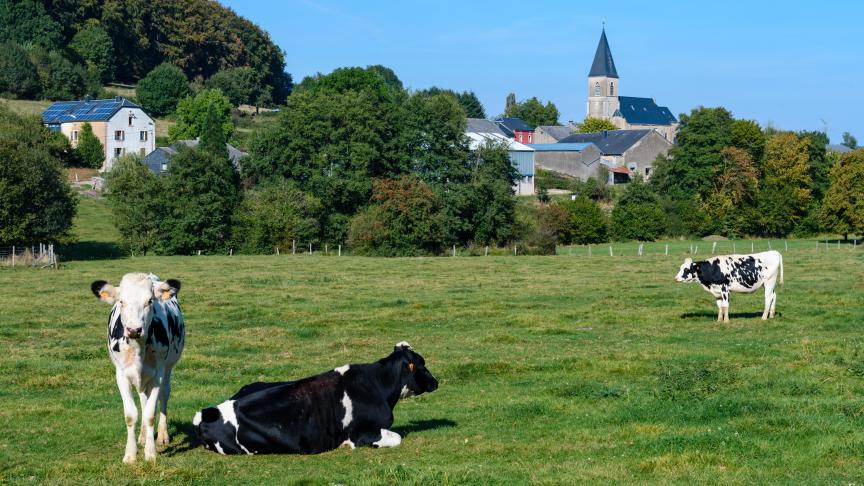 La province de  Luxembourg se  caractérise par  une constellation de petites centralités,  de bourgs, de villages dispersés entre vallées  et plateaux.