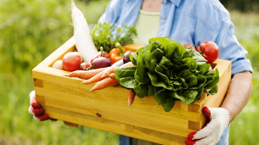 Au fil des années, le réseau s’est imposé comme l’un des acteurs historiques de la promotion de l’agriculture biologique en Wallonie.