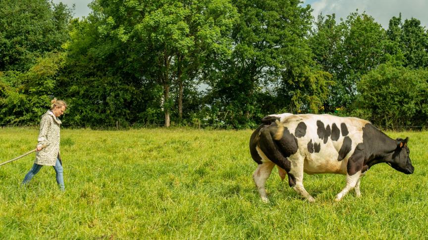 L’élevage européen est pris dans une équation qu’aucune solution simple ne permet de résoudre.