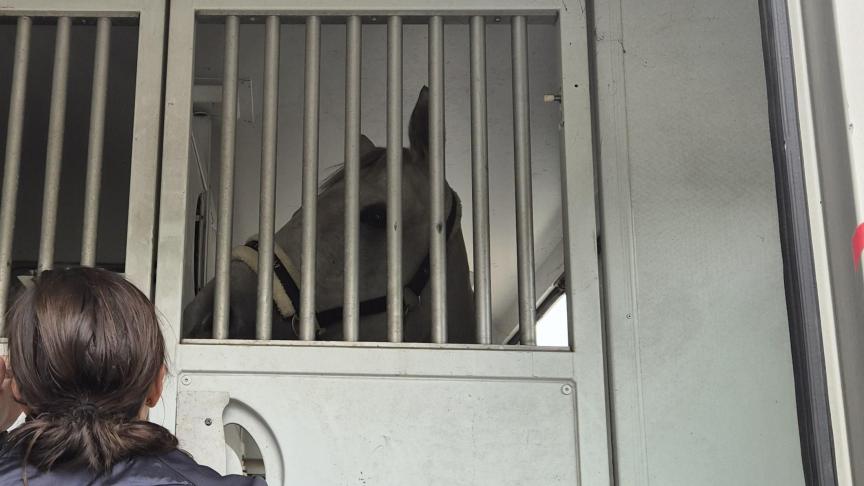 Cet assouplissement est possible grâce à la situation sanitaire stable dans les trois pays.