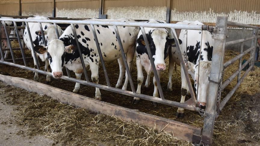 Cette réserve de 200.000 doses de vaccins constitue une mesure de précaution essentielle pour préserver la continuité des activités agricoles.