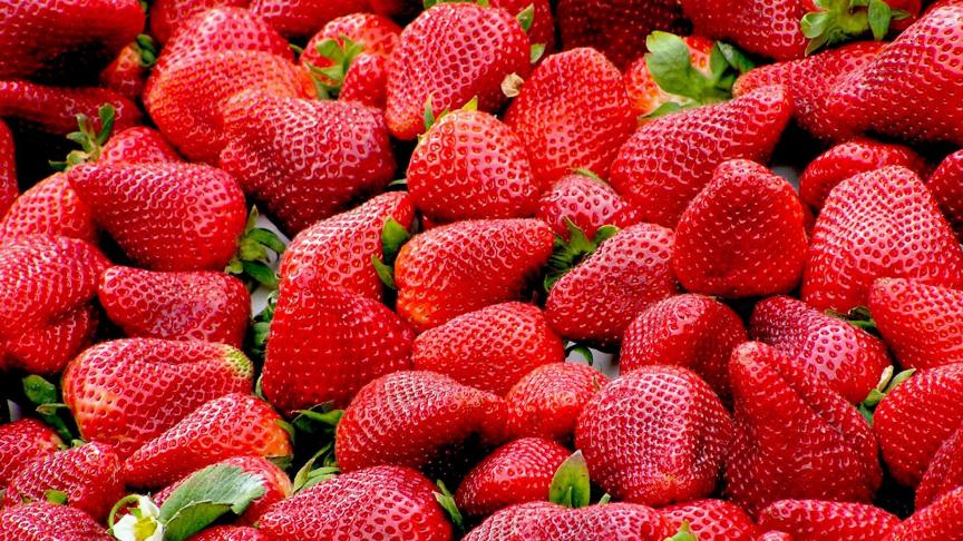robertobarresi-strawberries-99551