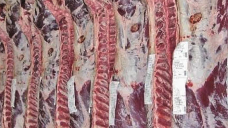 Cet accès aux données permettra de faciliter leur consultation par les éleveurs et contribuera à une meilleure transparence dans la filière bovine.